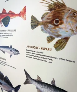 Just Another Fisherman HOME OF THE SALTY ANGLERS PRINT Apparel