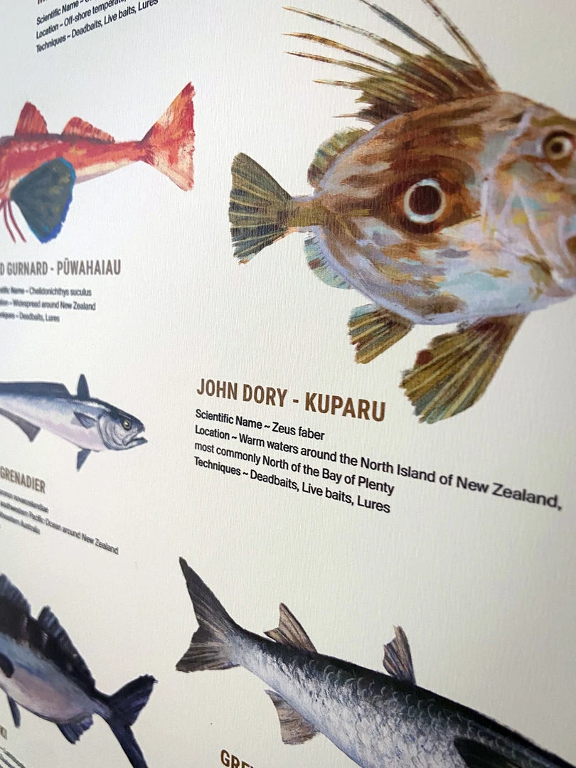 Just Another Fisherman Apparel HOME OF THE SALTY ANGLERS PRINT - FRAMED