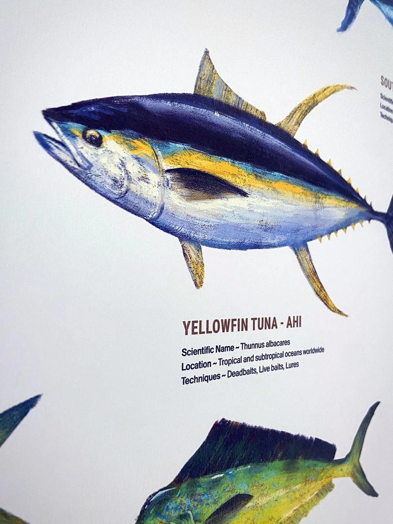 Just Another Fisherman Apparel HOME OF THE SALTY ANGLERS PRINT - FRAMED