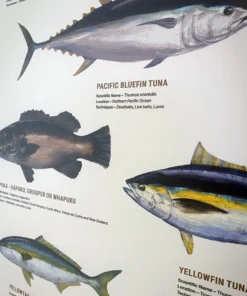 Just Another Fisherman HOME OF THE SALTY ANGLERS PRINT Apparel