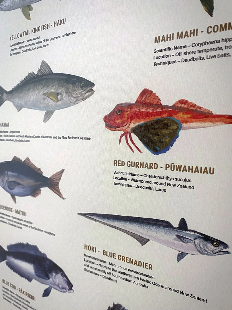 Just Another Fisherman Apparel HOME OF THE SALTY ANGLERS PRINT - FRAMED