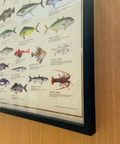 Just Another Fisherman Apparel HOME OF THE SALTY ANGLERS PRINT - FRAMED