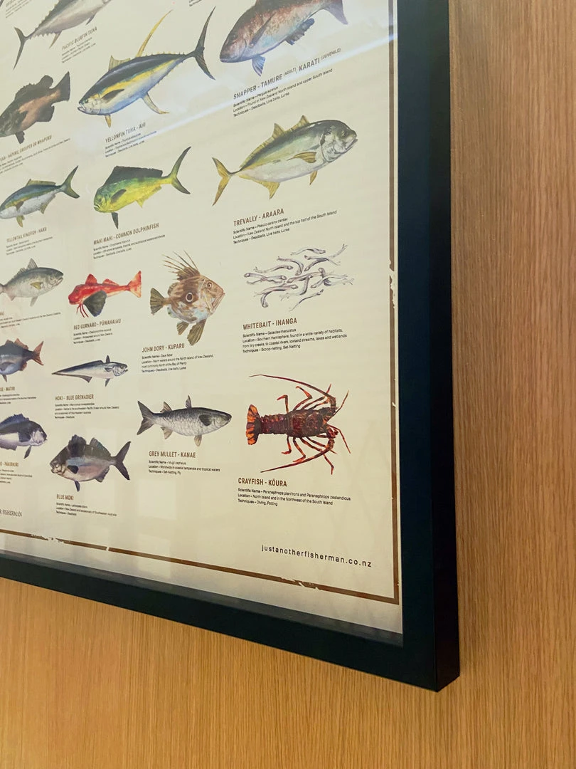 Just Another Fisherman Apparel HOME OF THE SALTY ANGLERS PRINT - FRAMED