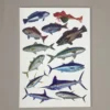 Just Another Fisherman MIXED BAG - GIFT CARD